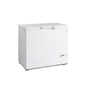 Ice Cream Freezer, Solid Lids - FR305 SL