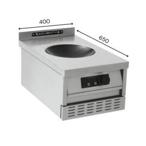SKWi - Wok induktsioon Module 650